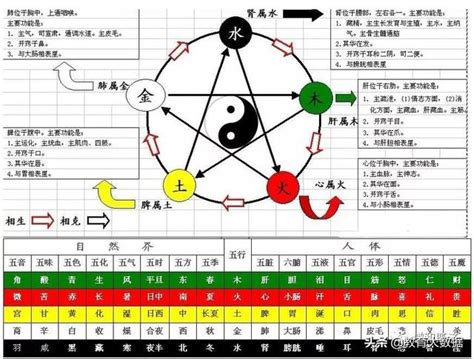 天干 五行|天干、地支、阴阳、五行、四时五方的关系表